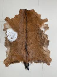 Goat Skin Natural Animal Hide Area Rug Real Fur Hair On Leather Pattern Brown And White Animal Hide Cow Decor Cow Skin Rug