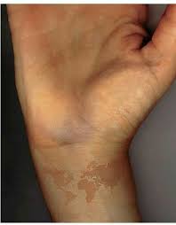 This Is The Desired Effect Subtle Yet Visible Disappears After Tanning World Map Tattoos Map Tattoos Ink Tattoo