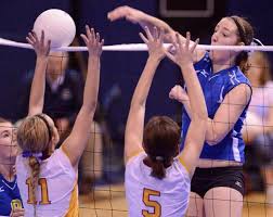 Gardiner wins second straight Class C title