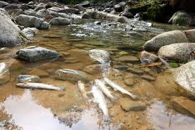 Zincirleme Katliam Sasirmis Haldeyiz Son Dakika Haberleri