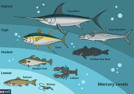 Fish is a healthy source of protein with many types being lean on calories & fat. Mercury In Fish How To Choose Safer Seafood