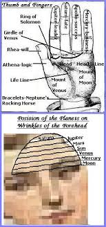 They are the individuals who will attempt to help others. Palm Venus