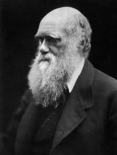 File:Charles Darwin photograph by Julia Margaret Cameron, 1868.jpg - Wikimedia Commons