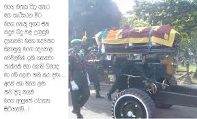 But some films have a reputation for being better than others to watch enhanced. whether it makes you laugh harder, think deeper, or reflect more deeply on the realities of our world, these movies are a cut above the rest. Poem Written In Sinhala For My Father F E E L E V E R Y T H I N G