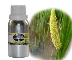Trigeminal neuralgia develops in mid to late life. 10 Top Health Benefits Of Acorus Calamus Essential Oil Hb Times