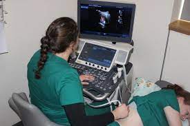 Discover how to become an ultrasound technician. Diagnostic Medical Sonography Degree Program Oregon Tech
