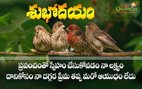 Pin On Good Morning Quotes