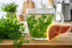 Photo Foie gras : voici la plante médicinale qui aide à le purifier ...