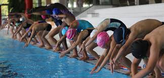 La Piscine Municipale L Hippocampe Ville De Villiers Sur Marne