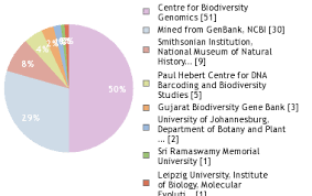Image result for Ochna richardsiae