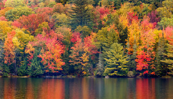 Why People Are Loving Fall | Cheryl's Cookies