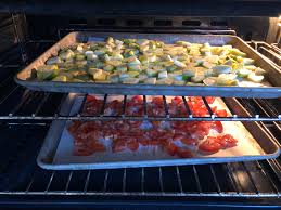 Lay the zucchini pieces out on a parchment or silpat lined baking sheet. Dehydrating Your Own Trail Food Is Easy You Should Try It Zucchini Yellow Squash And Tomatoes Tossed In A Little Salt To Pull The Water Out Then In The Oven At 150