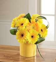 Click here to order flowers for any occasion! Albright S Inc Any Occasion Columbus Ga 31907 Ftd Florist Flower And Gift Delivery