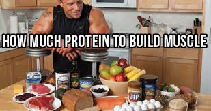 How much protein to build muscle calculator. How Much Protein Is Needed To Build Muscle Musclehack By Mark Mcmanus