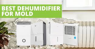 Best dehumidifier for bedroom australia. Top 5 Best Dehumidifier For Mold 2021 Reviews Updated