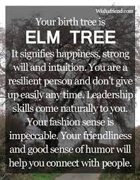 Your Birth Tree Elm Tree Elm Tree Aquarius Life My Zodiac Sign