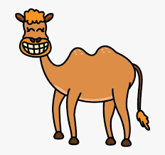 This guide of how to draw a camel step by step is easy and quick. How To Draw A Camel Draw A Camel Easy Png Image Transparent Png Free Download On Seekpng