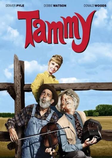 TAMMY - THE COMPLETE SERIES (ABC 1965-66) VERY RARE!!! Debbie Watson, –  Rewatch Classic TV