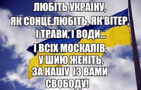 США поддерживают языковые позиции Украины, но имплементация "языковой статьи" не должна нарушать права граждан, - Салливан - Цензор.НЕТ 4403