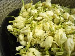 Image result for Jasminum bakeri