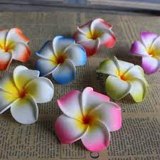 Event decor direct is proud to display a wide selection of colors and styles of their featured table charger plates wholesale. Wholesale 4cm 5cm 7cm 9cm Pe Wedding Decorative Foam Plumeria Hawaiian Ear Flower Artificial Frangipani Buy Hawaiian Ear Flower Foam Plumeria Artificial Frangipani Product On Alibaba Com