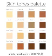 royalty free skin palette stock images photos vectors