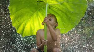 Akibatnya, kita mudah kelelahan dan terserang penyakit. 10 Cara Menjaga Kesehatan Saat Musim Hujan Jovee Id