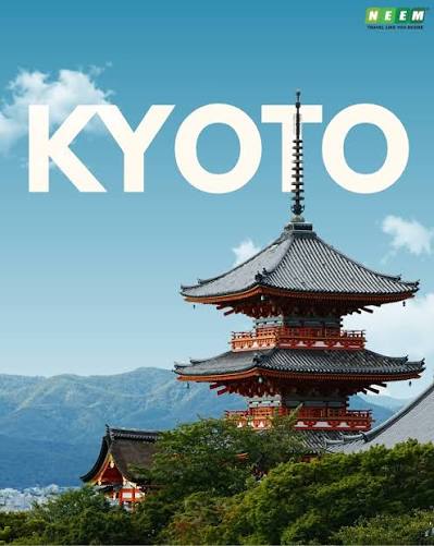 Every city in Japan tells a different story, modern, traditional, and  everything in between 
                                

                                
                                    <div class=