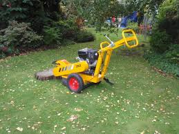 Tree Surgery Tamworth Tree Felling Middleton Middleton Tree Services Tree Felling Hd Nature Wallpapers Nature Wallpaper