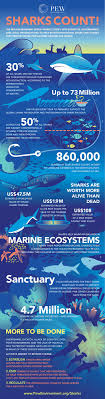 Sharks Count Infographic Shark Facts Shark Conservation Marine Ecosystem