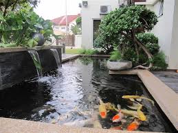Jaring nelayan media filter air kolam koi kantongan isi 500gr termurah. Cara Membuat Kolam Ikan Koi Desain Minimalis Di Depan Rumah Ikankoi Org