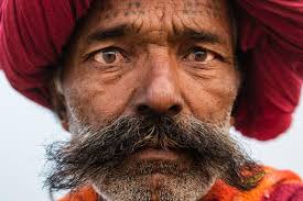 Where in the World…? Lifestyle, Culture, Landscapes, Cityscapes, Wildlife &  Travel