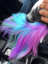 Sweet Tail Done By Big Ears Red Merle With Opawz Semi Permanent Pet Hair Dyes Play Around With The Colors And Try Out Semi Permanent Hair Dye Hair Dyed Hair