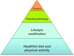 Image result for Obesity Management