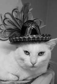 Stevens gets life in 2007 killing