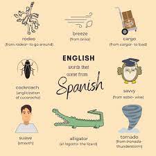 Did You Know That There Are Several English Words That Originated From Spanish These Are Called Spanish Loan Learn English English Words Language Proficiency