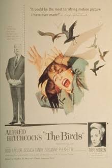 The Birds | Rotten Tomatoes