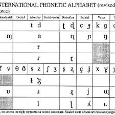 Pulmonic Consonants From The International Phonetic Alphabet