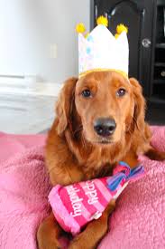 My beautiful girls birthday is Sunday. Happy birthday Willow!🩷