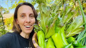 November Vegetables: What to Grow in Your Florida Garden?