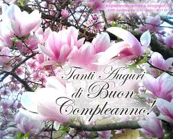 Narcisi, giacinti, tulipani, ranuncoli e fiori di pesco; Tanti Auguri Buon Compleanno Fiori Di Campo Auguri Crotx