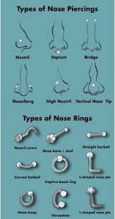 Simply fill the piercing with a circular barbell and flip the jewelry inside of your nose. Nose Piercing Different Types Of Nose Rings Their Meaning Kenyans Co Ke