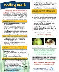 In principle, ipm is an ecologically based strategy that relies on natural mortality factors, such as natural enemies, weather, and crop management, and. Codling Moth Quick Tips Natural Pest Control