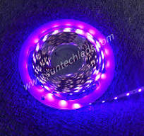365nm 360nm UV Led Strip - Buy China, manufacturers, factory ...