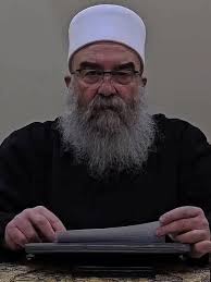 Hasenan Aşireti Kürt kökenli büyük bir aşirettir. Aşiretin Peygamber  soyundan gelen (Seyyid) Arap kökenli bir kaç kolu vardır. Aşiretin Torun,  Malbat, Seyitki, Şeğki, Karace, Tıroken, Guloyi gibi bir çok kolu vardır.  Hasenan