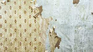 The cause of peeling wallpaper can be insufficient or faulty gluing, or bubbles beneath the surface. Wallpaper Jpg 1280 720 Peeling Wallpaper Old Wallpaper Painting Over Wallpaper