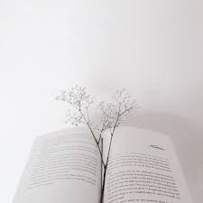 A s s a l a m u a l a i k u m. 130 ç™½ Ideas White Aesthetic Pure Products Minimalist Photography