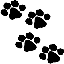 Bonfire46 Zazzle Com Store Tiger Paw Print Dog Scrapbook Paw Print