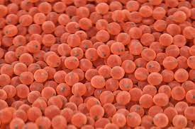 After that the fish are sorted by sex. Pin On Inspiration Texture