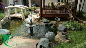 Tukang Kolam Ikan Koi Tukang Kolam Koi